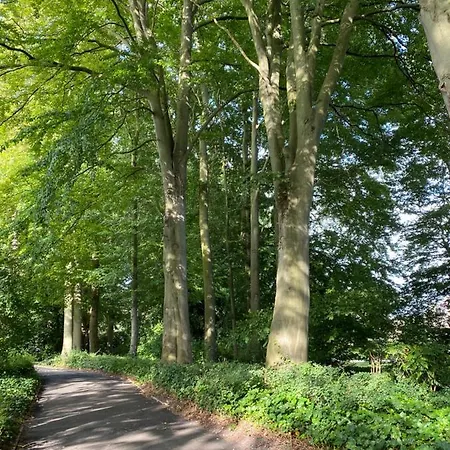 Daire Het Emmapark *