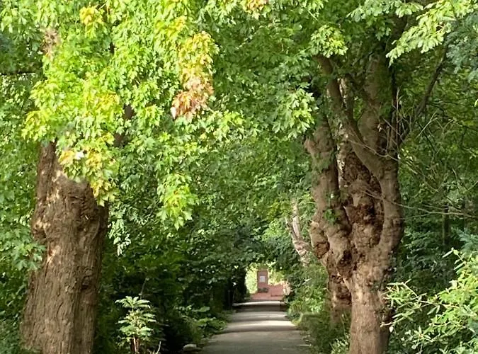 Het Emmapark メーデムブリク