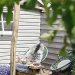 Het Emmapark Daire Medemblik