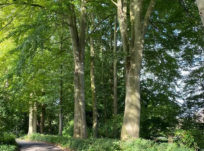 Apartment Het Emmapark *